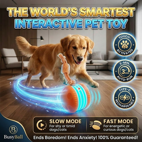 Keep Your Pet Relaxed, Happy & Content
