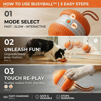 Keep Your Pet Relaxed, Happy & Content