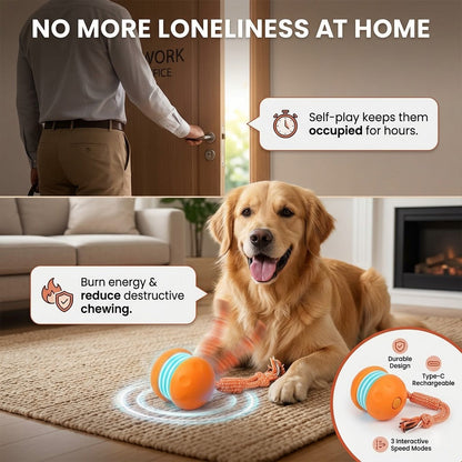Keep Your Pet Relaxed, Happy & Content