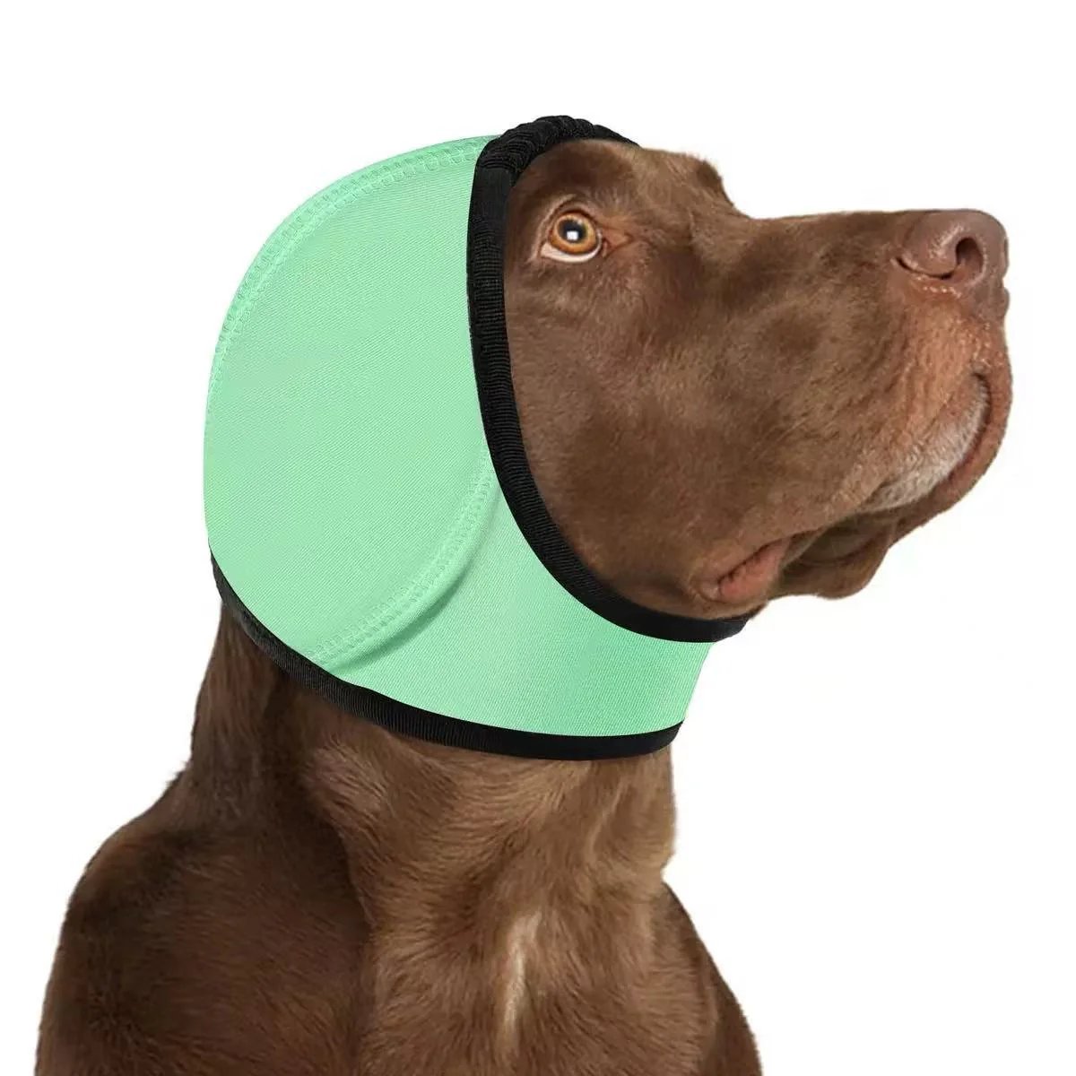 🔥 HOT SALE 51% OFF - Dog Calming Ear Wrap
