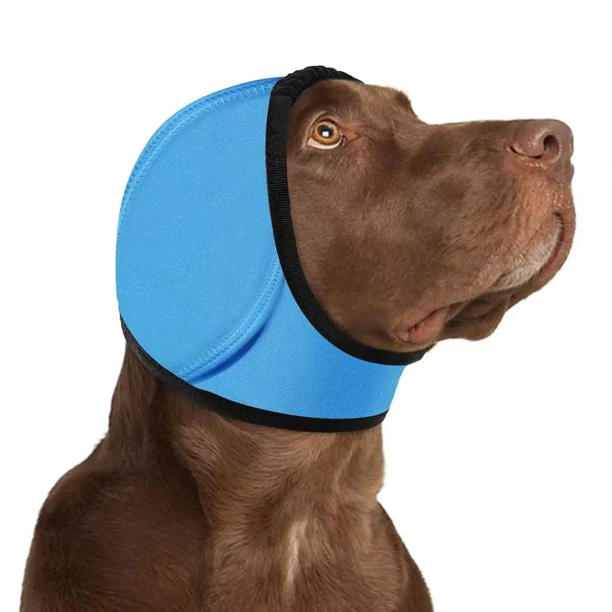🔥 HOT SALE 51% OFF - Dog Calming Ear Wrap