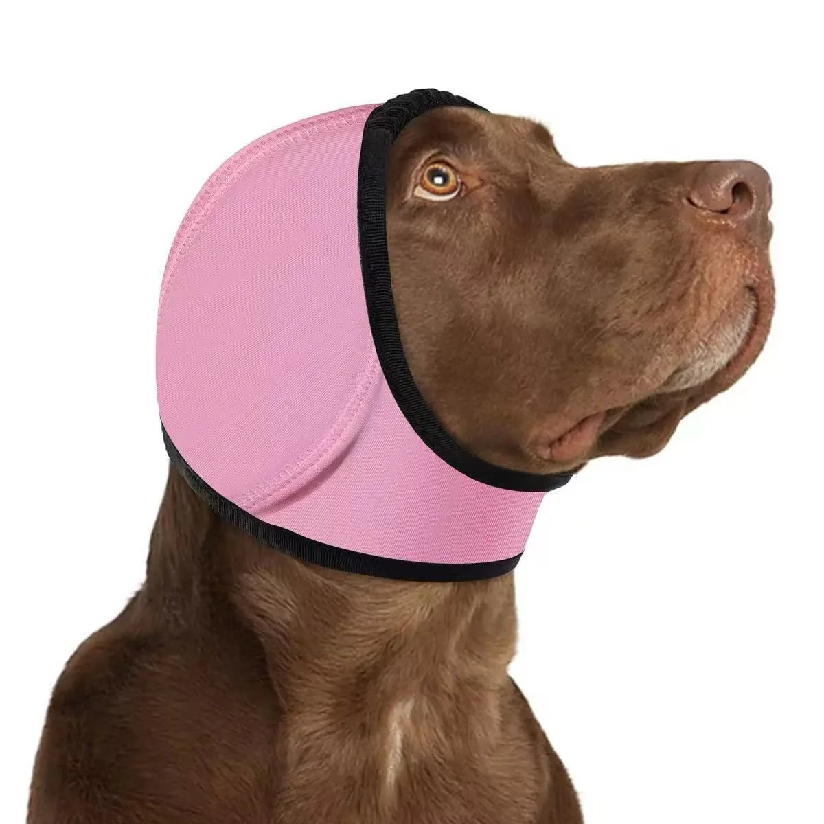 🔥 HOT SALE 51% OFF - Dog Calming Ear Wrap