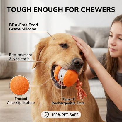 Keep Your Pet Relaxed, Happy & Content