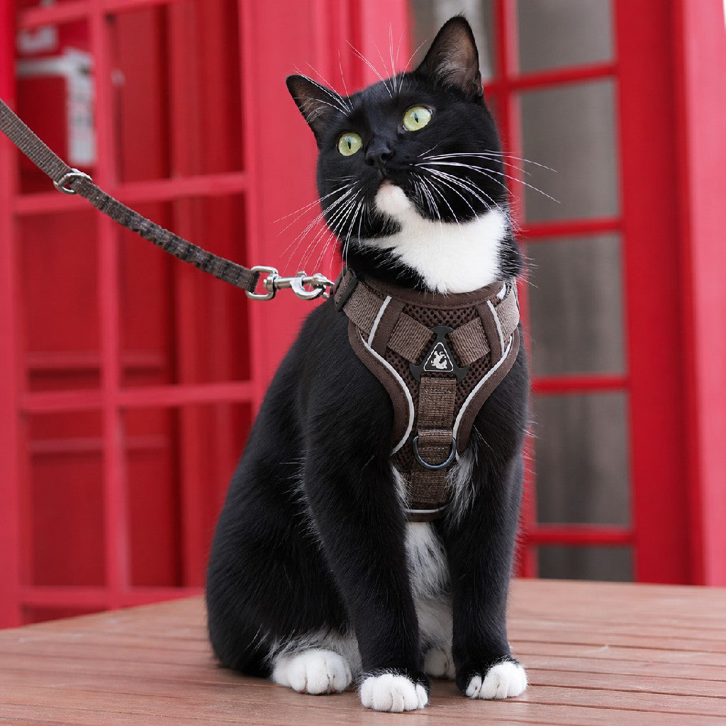 Escape-Proof Cat Harness & Leash Set