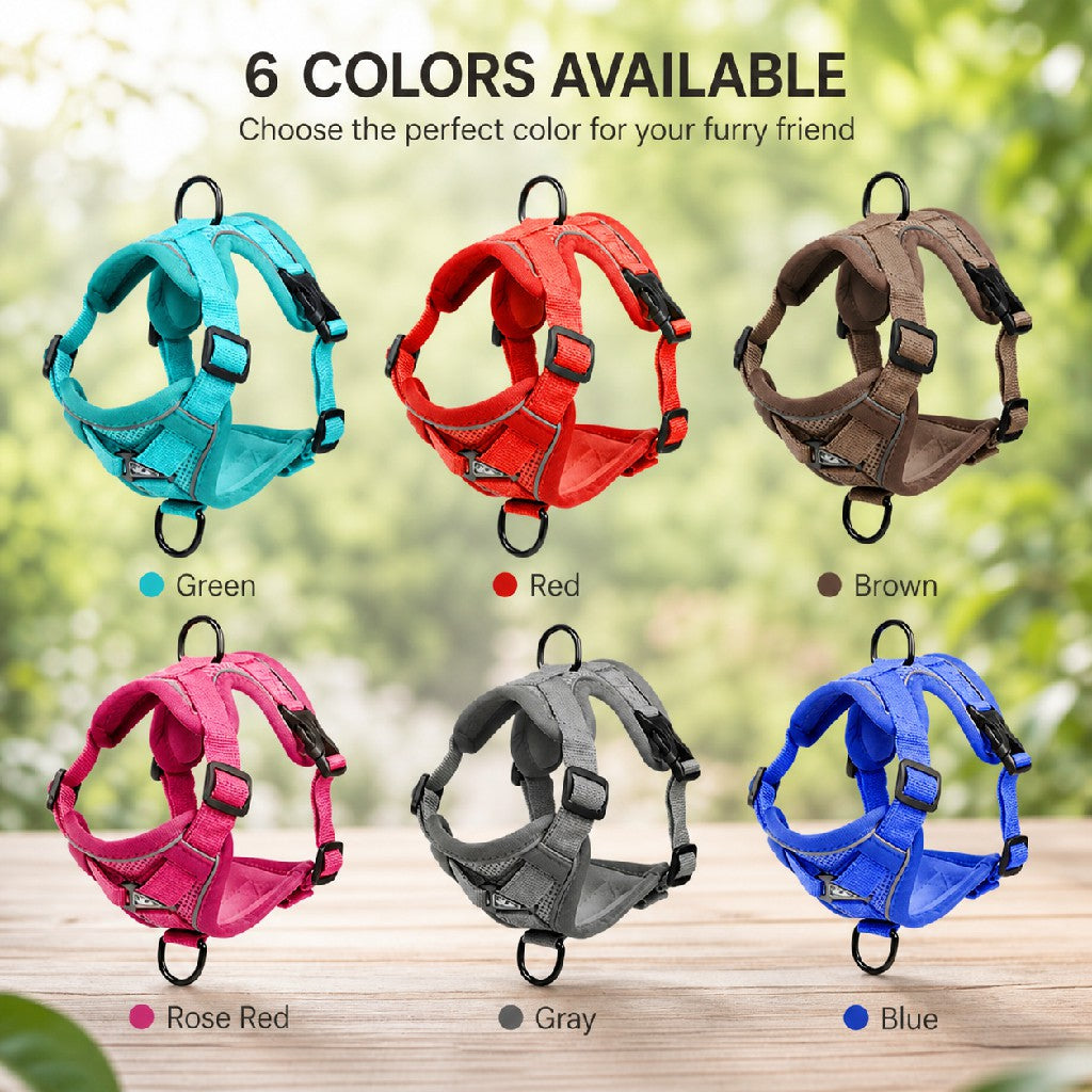 Escape-Proof Cat Harness & Leash Set