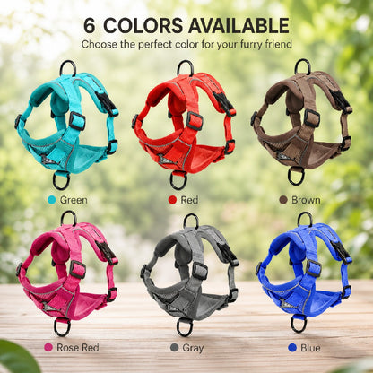 Escape-Proof Cat Harness & Leash Set